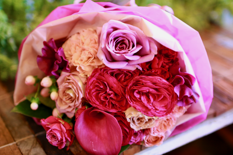 IMG_1815.png