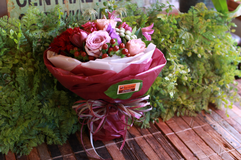 IMG_1876.png