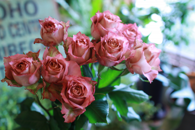 IMG_7455.png