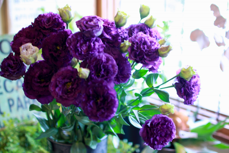 IMG_7466.png