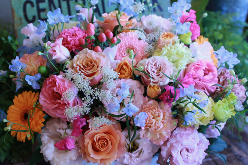 IMG_7191.png