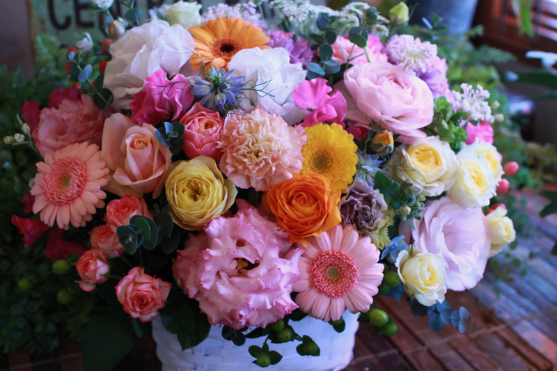 IMG_7353.png