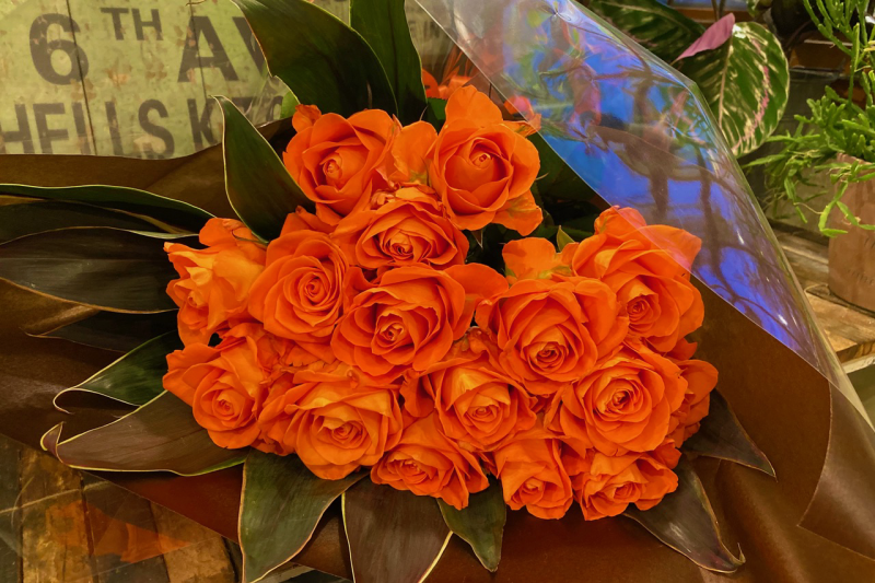 08BD42AD-0505-4F47-9CC7-9BCB8A85273D_1_201_a.png