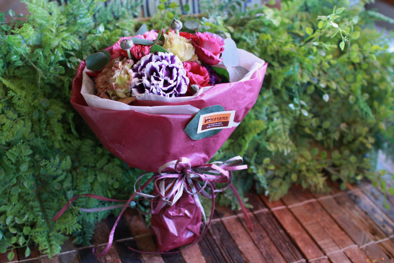 IMG_7716.png