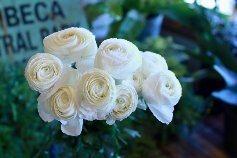 IMG_8015.png
