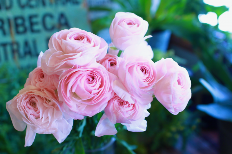 IMG_8019.png