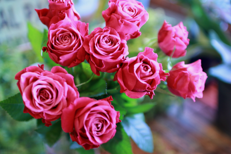 IMG_8034.png