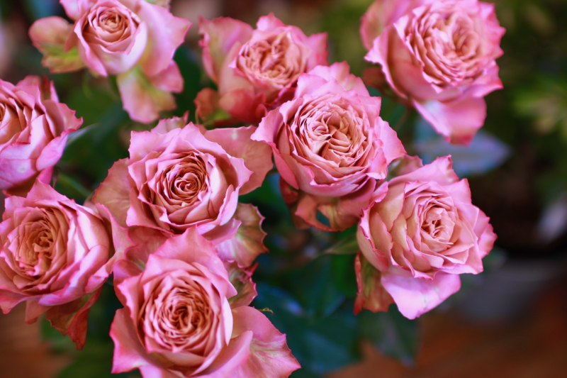 IMG_8039.png
