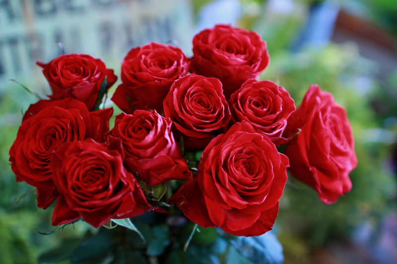 IMG_8040.png