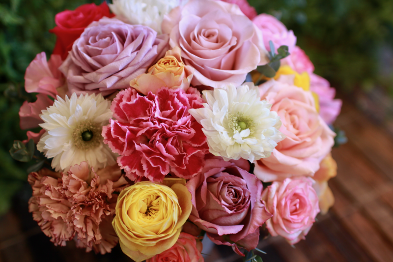 IMG_7427.png