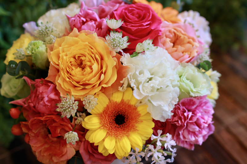 IMG_7594.png