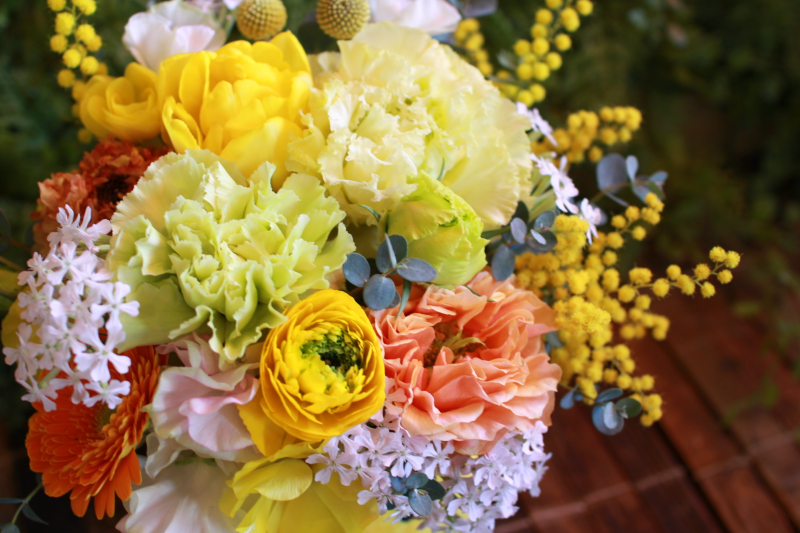 IMG_7814.png