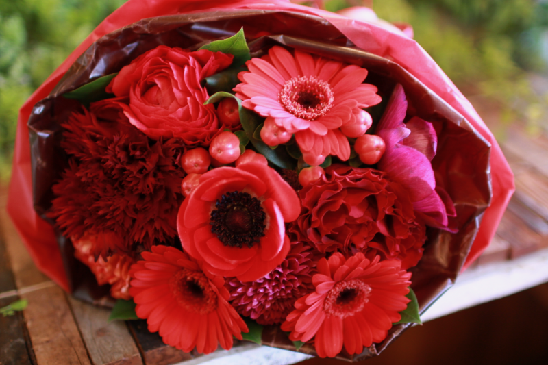 IMG_7921.png