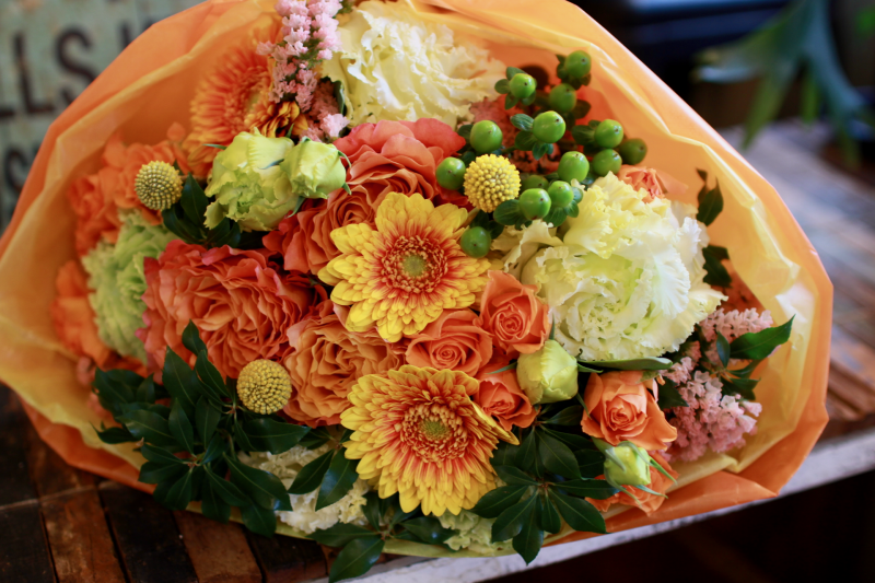 IMG_7937.png
