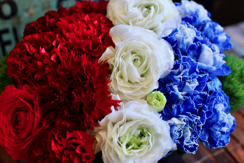 IMG_7885.png