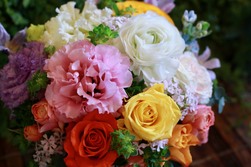 IMG_7933.png