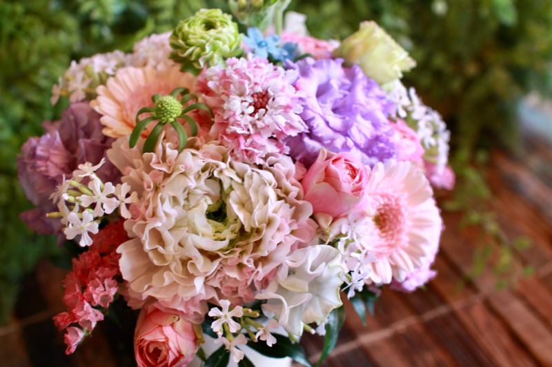 IMG_7950.png