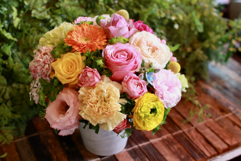 IMG_7958.png