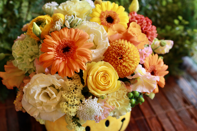 IMG_8955.png