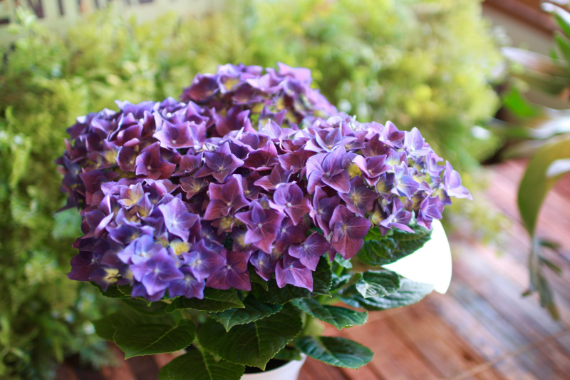 IMG_9382.png
