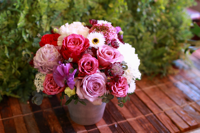 IMG_8651.png