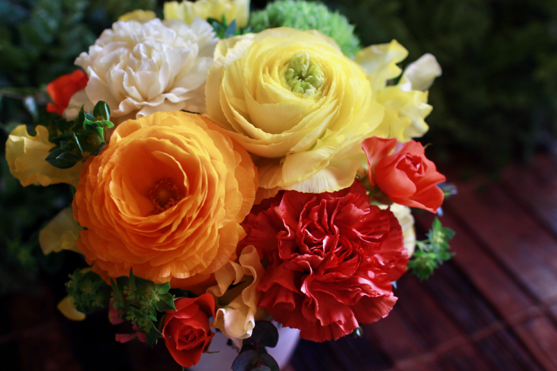 IMG_8408.png