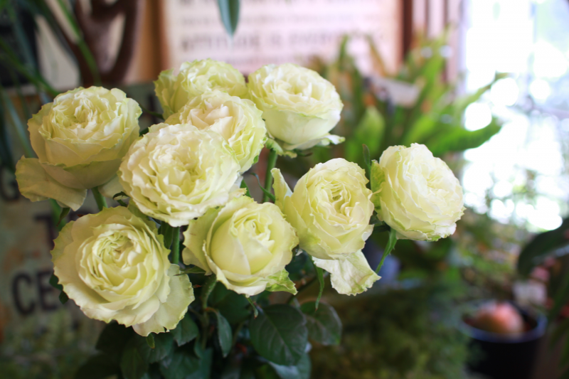 IMG_0057.png