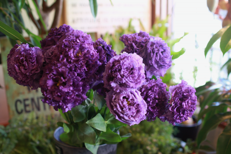 IMG_0048.png