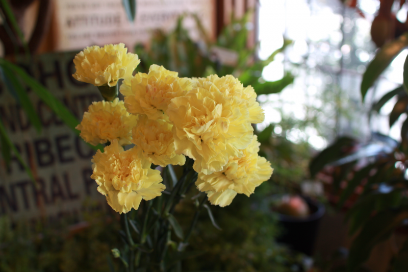 IMG_0025.png