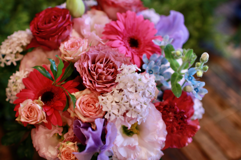 IMG_8864.png