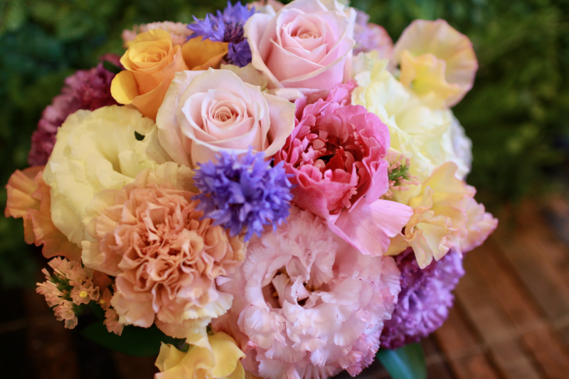 IMG_8861.png