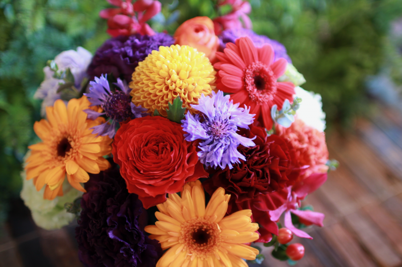 IMG_8785.png