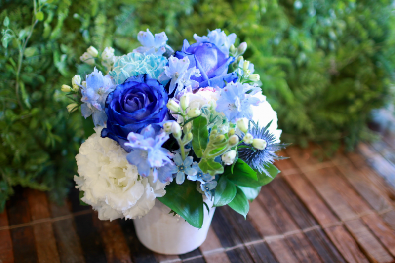 IMG_8756.png