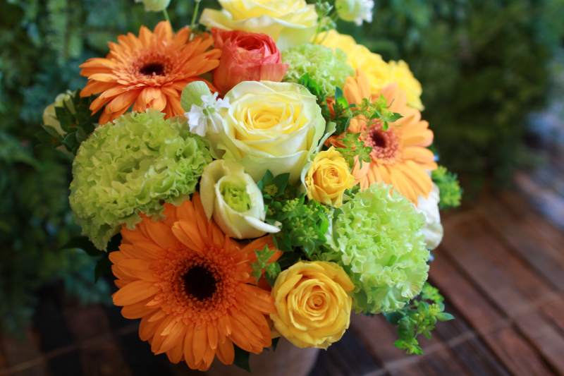 IMG_8755.png