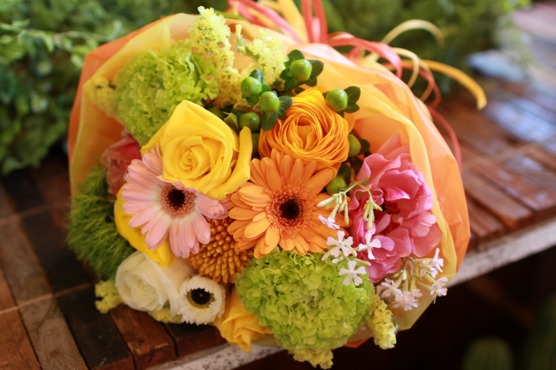 IMG_8557.png