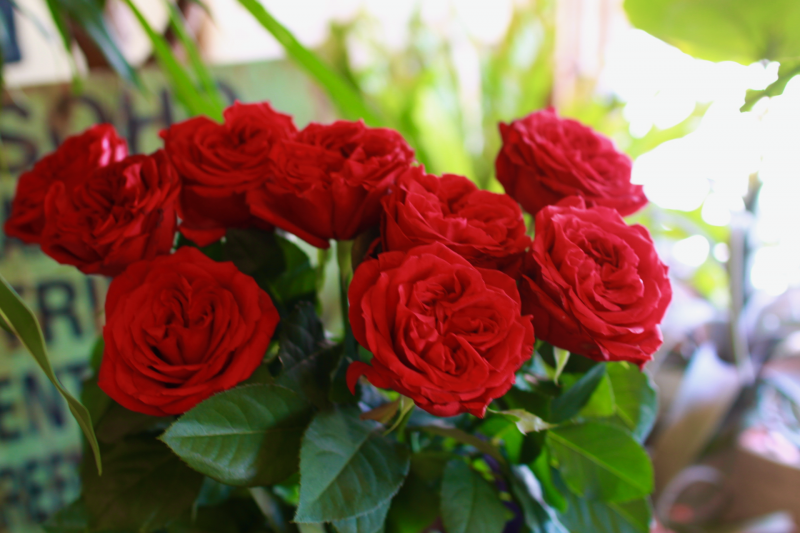 IMG_0494.png