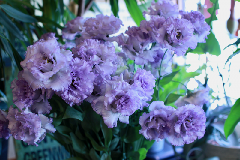 IMG_0492.png