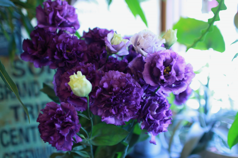 IMG_0491.png