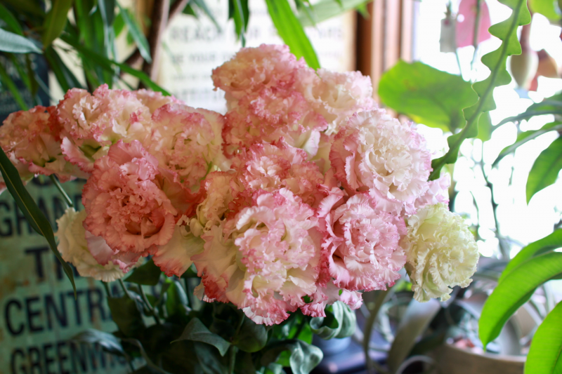 IMG_0483.png