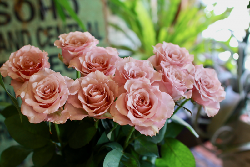 IMG_0479.png