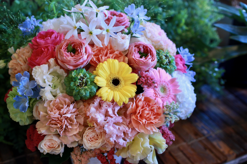 IMG_9054.png