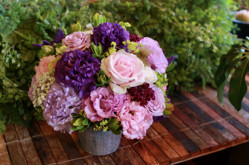 IMG_0085.png