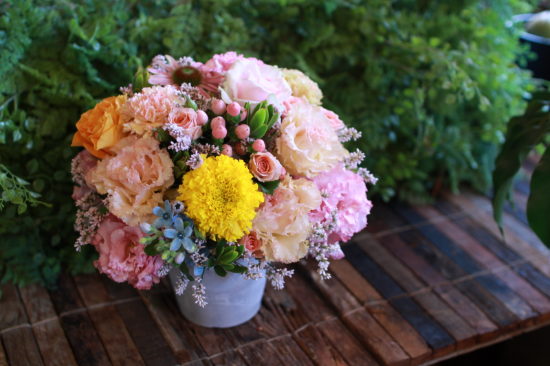 IMG_0009.png