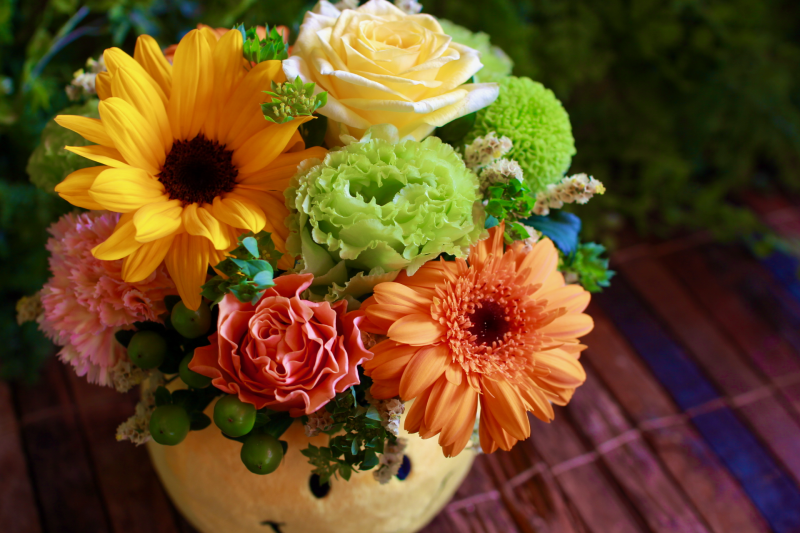 IMG_9703.png
