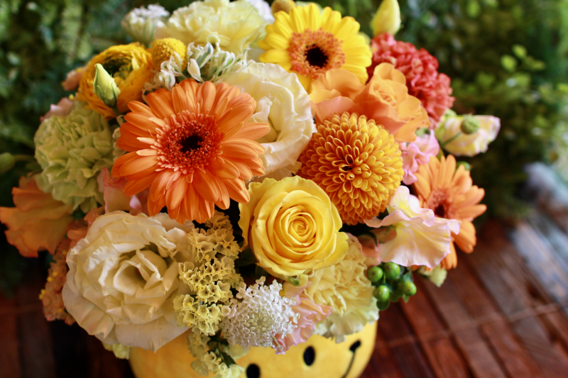 IMG_8955.png
