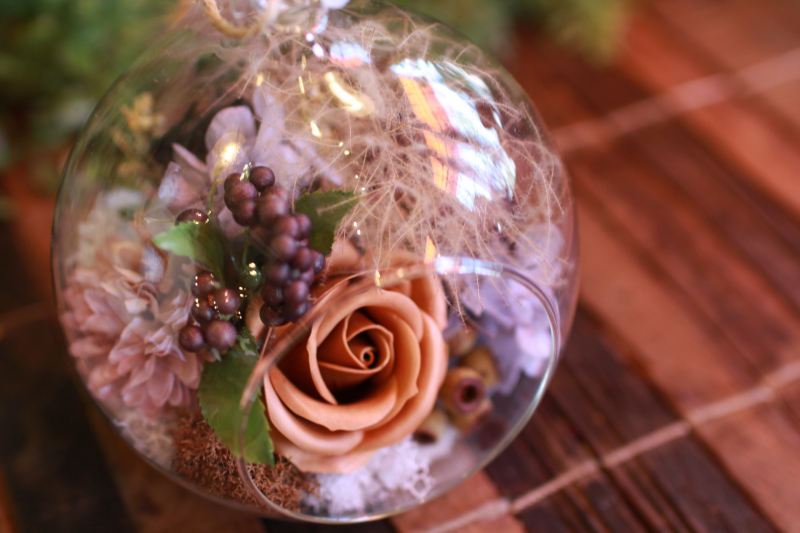 IMG_9115.png