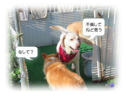 ベッキー2