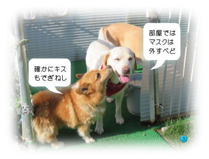 ベッキー3