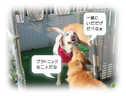 ベッキー4