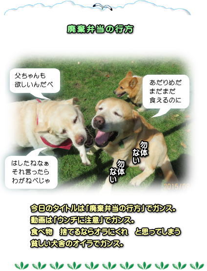 廃棄弁当の行方